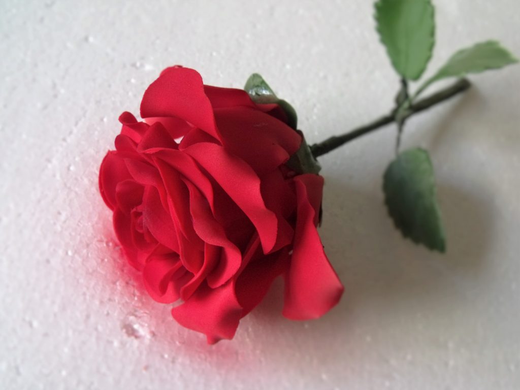 Sugar red rose